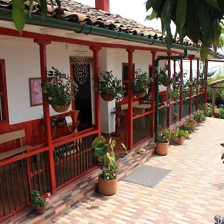 Eco Lodge La Juanita La Linda Экстерьер фото