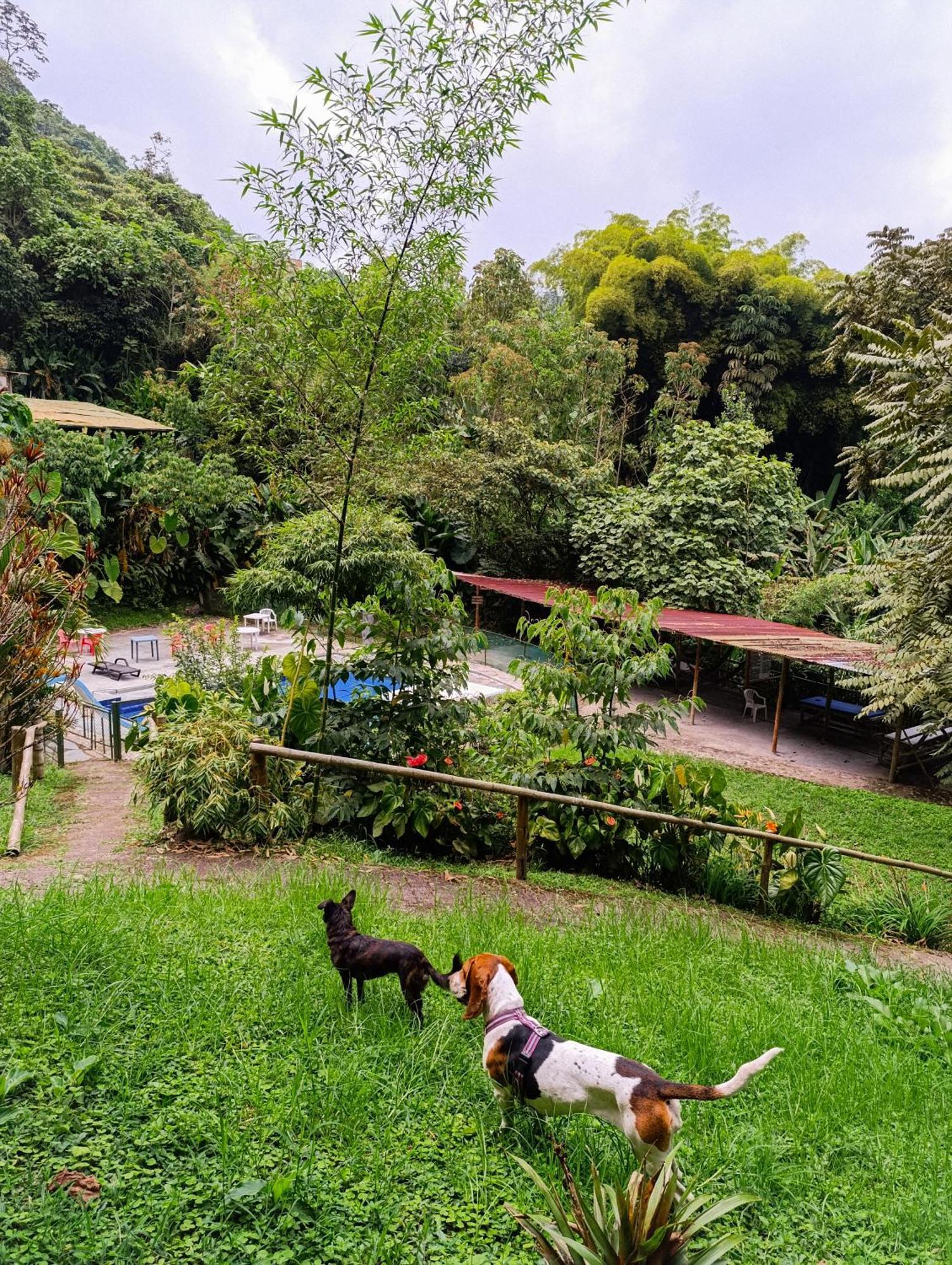 Eco Lodge La Juanita La Linda Экстерьер фото